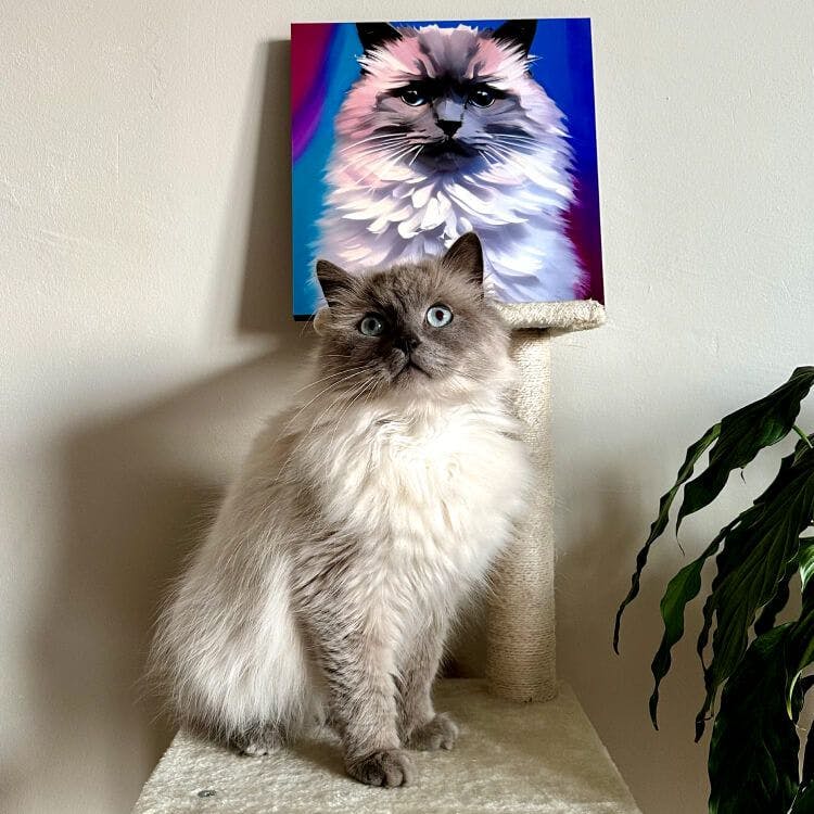 Uniek portret van jouw kat in uniform